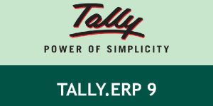 Tally Accounting Software