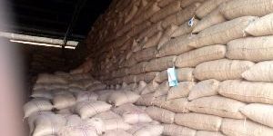 Unprocessed Cashew Nuts