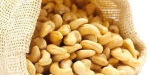 Organic Cashew Nut