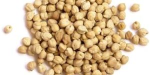 Organic Chickpea Grain