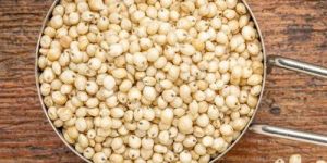 Organic Millets Grains