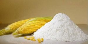 Maize Starch Powder