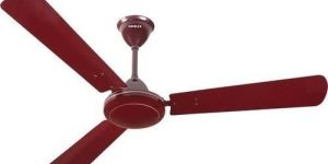 Ceiling Fan