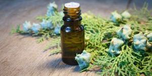 THUJA WOOD OIL