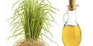 Vetiver Oil