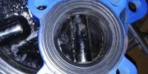 Lug Type Butterfly Valve