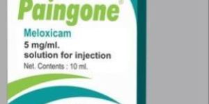 Meloxicam Injection