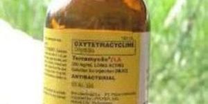 Oxytetracycline Dihydrate LA Injection