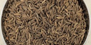 Cumin Seeds
