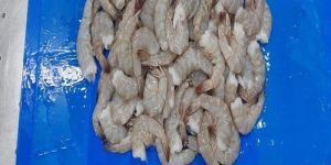 Frozen Headless Shrimp