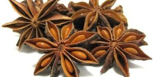 Star Anise Seeds