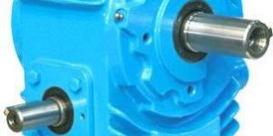 Elecon Worm Gearbox