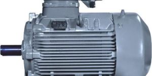 Flame Proof Motors