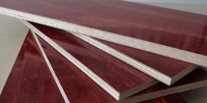 Shuttering Plywood