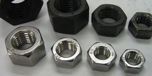 Stainless Steel Nuts