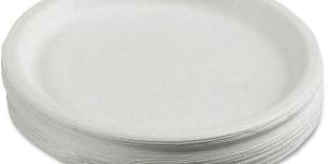 Disposable Paper Plate