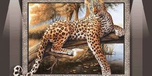 Poster Series Digital Wall Tiles