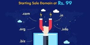 Domain Hosting Services
