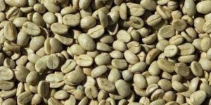 Green Coffee Beans