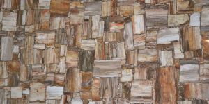 Petrified Wood Slabs