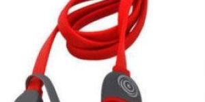 USB 2 IN 1 DATA CABLE VOICE BUG