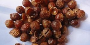 Soapnut Shells