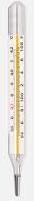 Oval Shape Mercurial Thermometer