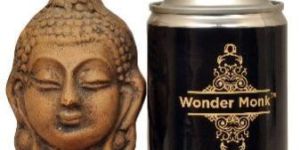 Ocean Wave Air Freshener