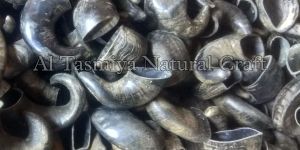 Small Medium Buffalo Horn