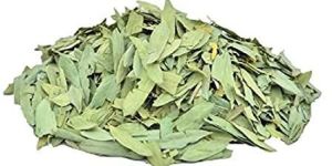 Senna Leaves