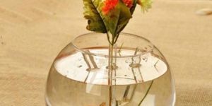 Transparent Glass Pots