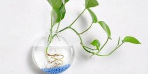 Wall Hanging Glass Pots