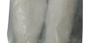 Frozen Basa Fish Fillet