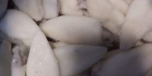 Frozen Squid Tube