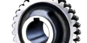 Worm Gear