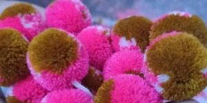 Fancy Pom Pom