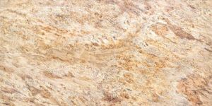 Vyara Gold Granite