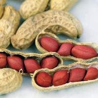 Red Peanuts