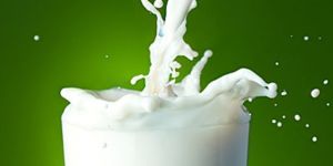 Plant Based Carbonated Milk