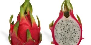 Fresh Dragon Fruit
