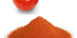 Spray Dried P J Grade Tomato Powder