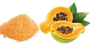 Spray Dried Papaya Powder