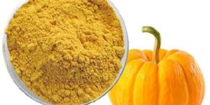 Spray Dried Pumpkin Powder