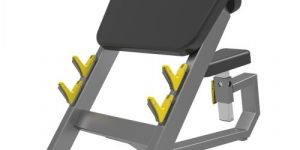 Seated Preacher Curl