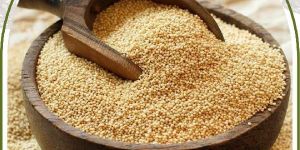 Browntop Millet