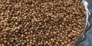 Third Party Manufacturer