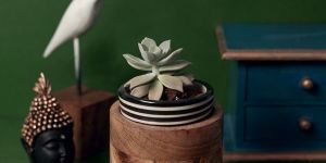 Wooden Small Vase with Stand