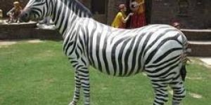 FRP Zebra Statue