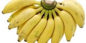 Elaichi Banana