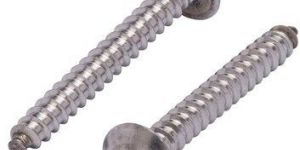 Stainless Steel Screw